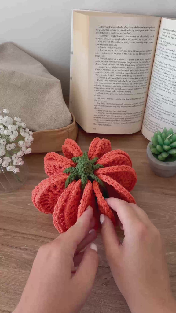 Pumpkin Coaster Set Crochet Pattern